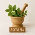 Βότανα