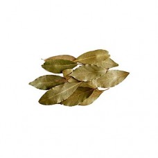 Δάφνη Ελληνική