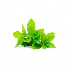 Δύοσμος Τρ.