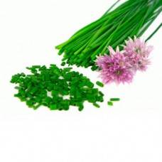 Σχοινοπρασο 