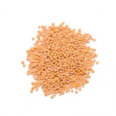 ΣΙΝΑΠΟΣΠΟΡΟΣ ΚΙΤΡΙΝΟΣ