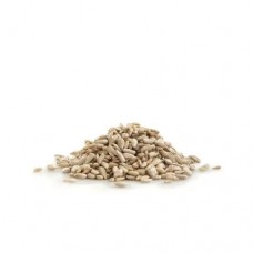  ΗΛΙΟΣΠΟΡΟΣ ΨΙΧΑ ΩΜΗ