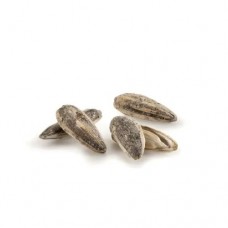  ΗΛΙΟΣΠΟΡΟΣ ΨΗΜΕΝΟΣ ΜΕ ΑΛΑΤΙ