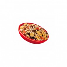 Muesli Fruits