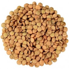 ΦΑΚΕΣ ΕΛΛΗΝΙΚΕΣ ΚΟΖΑΝΗΣ